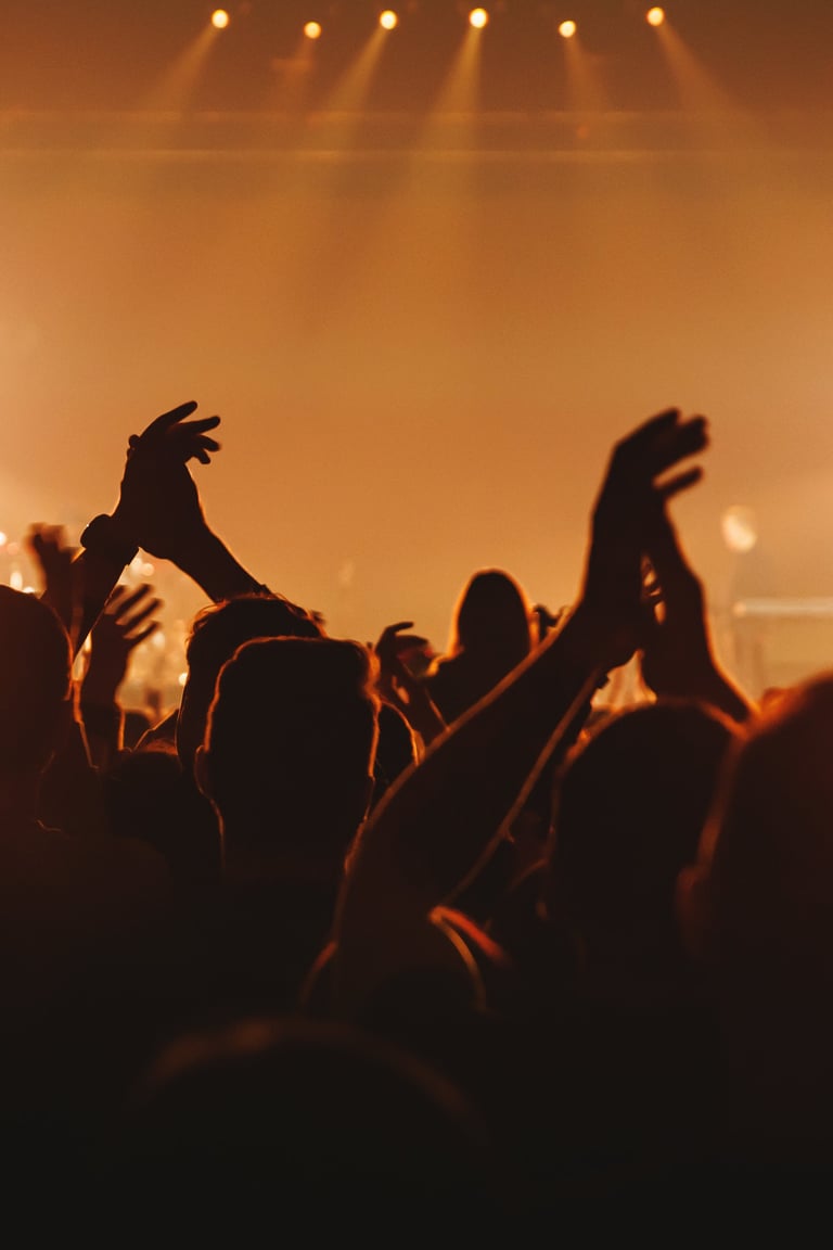 Concert crowd with hands raised